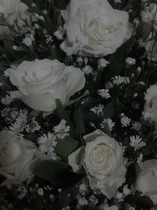 Heptagram_0423.의 ▪️플라워조직▪️