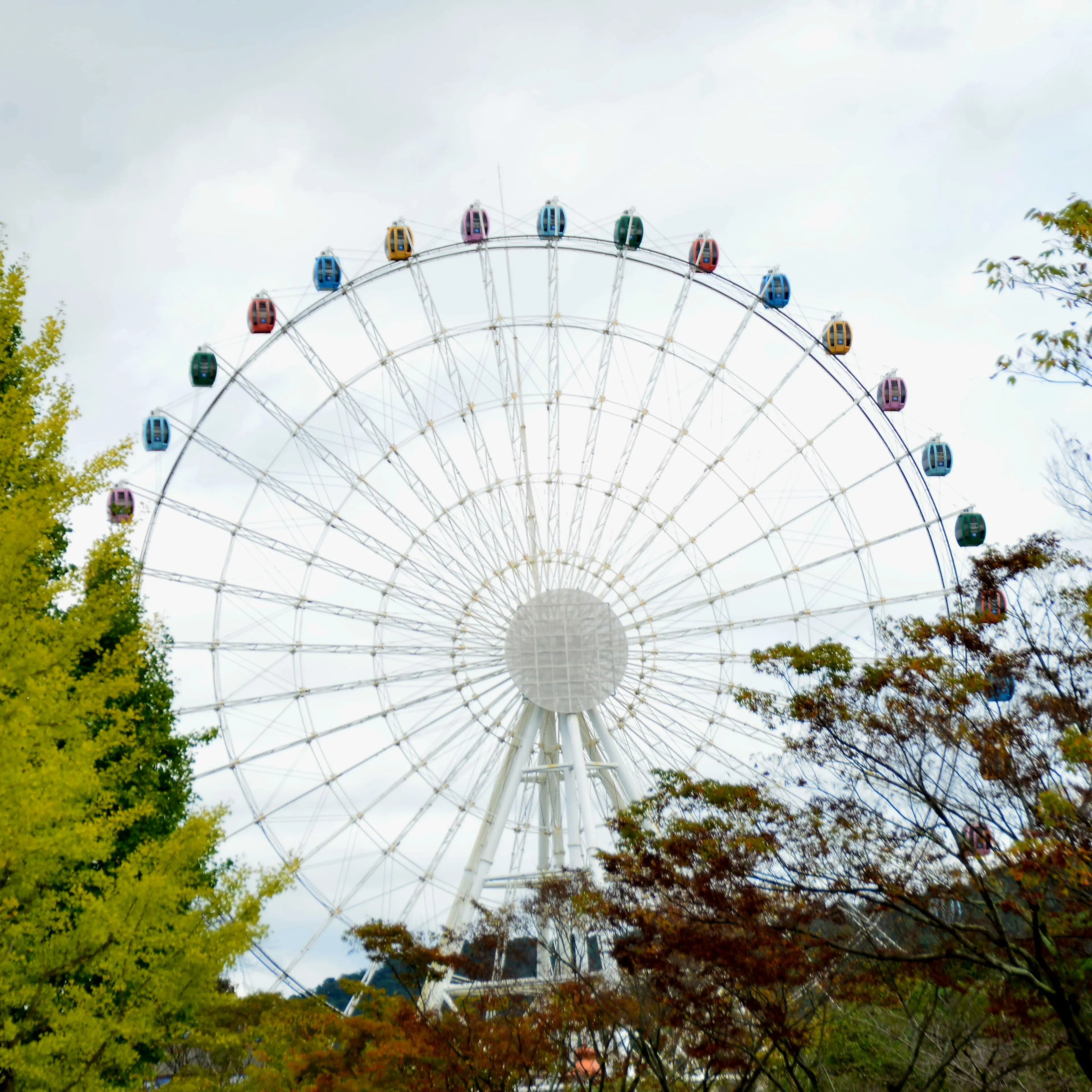 GrayChild7574의 황수현