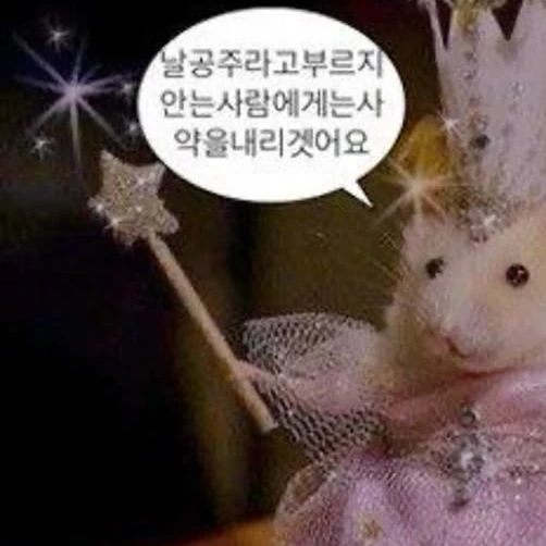 ×블러드공주님♡×