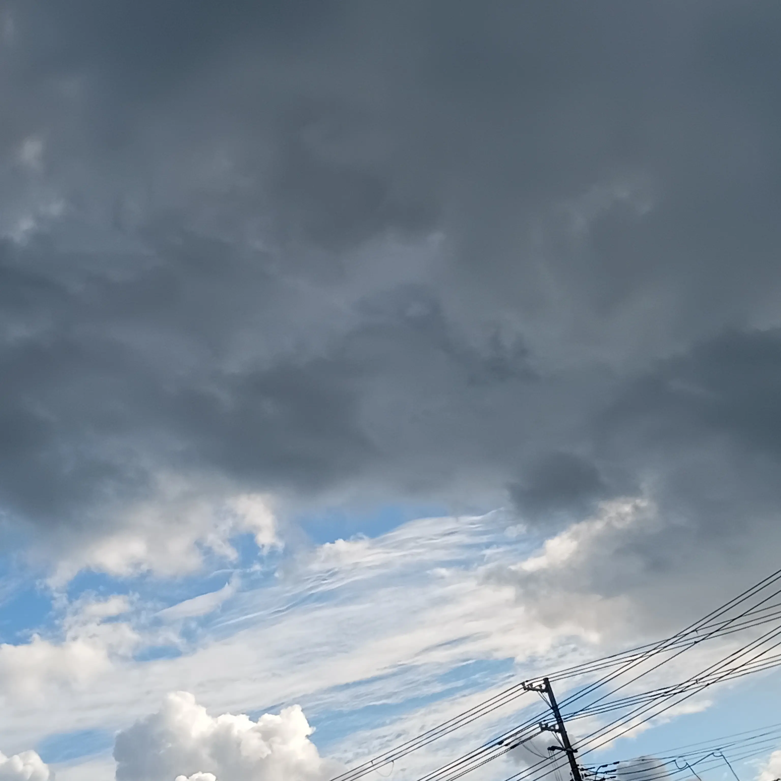SuperbScrew8331의 なんか、猫と人間のハーフみたいなの居る…