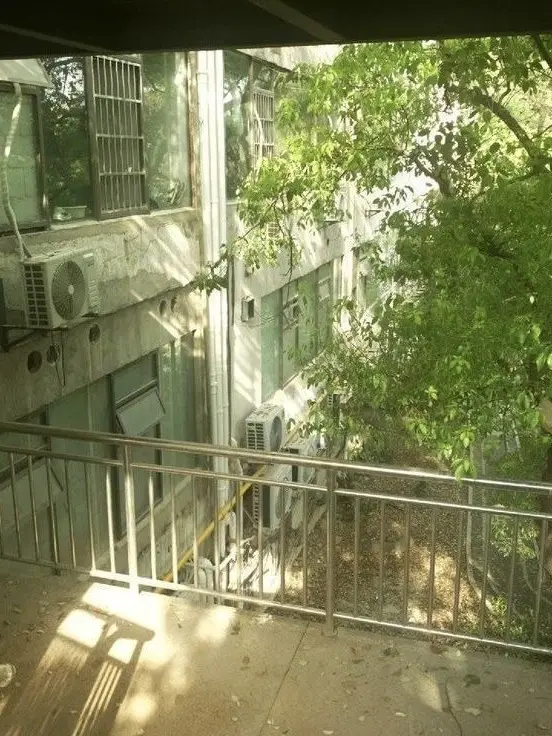 PrimSkate5554의 College days