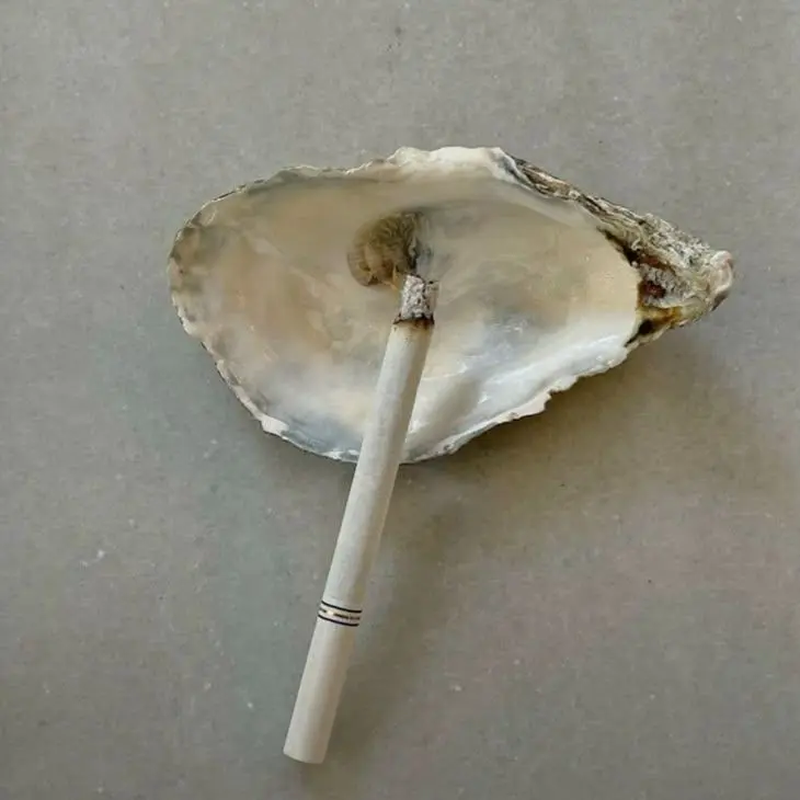 japsa의 류 쇼헤이