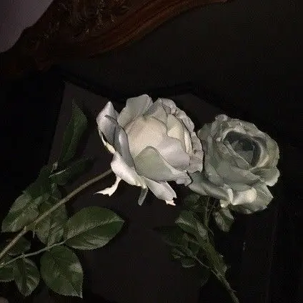 jungugugaga의 徐晟恩