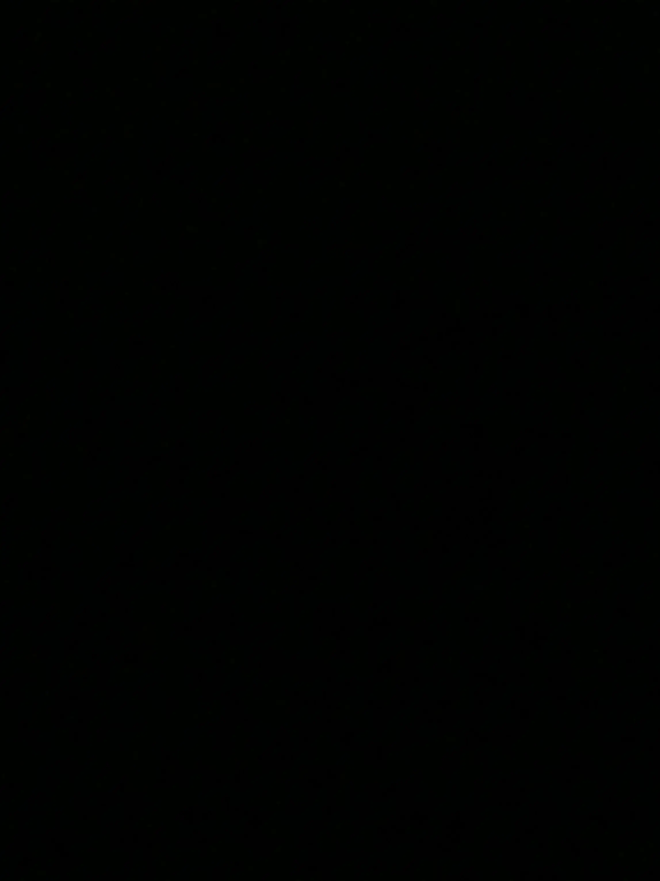 PurpleIndri3819의 레불하 혁명의심장