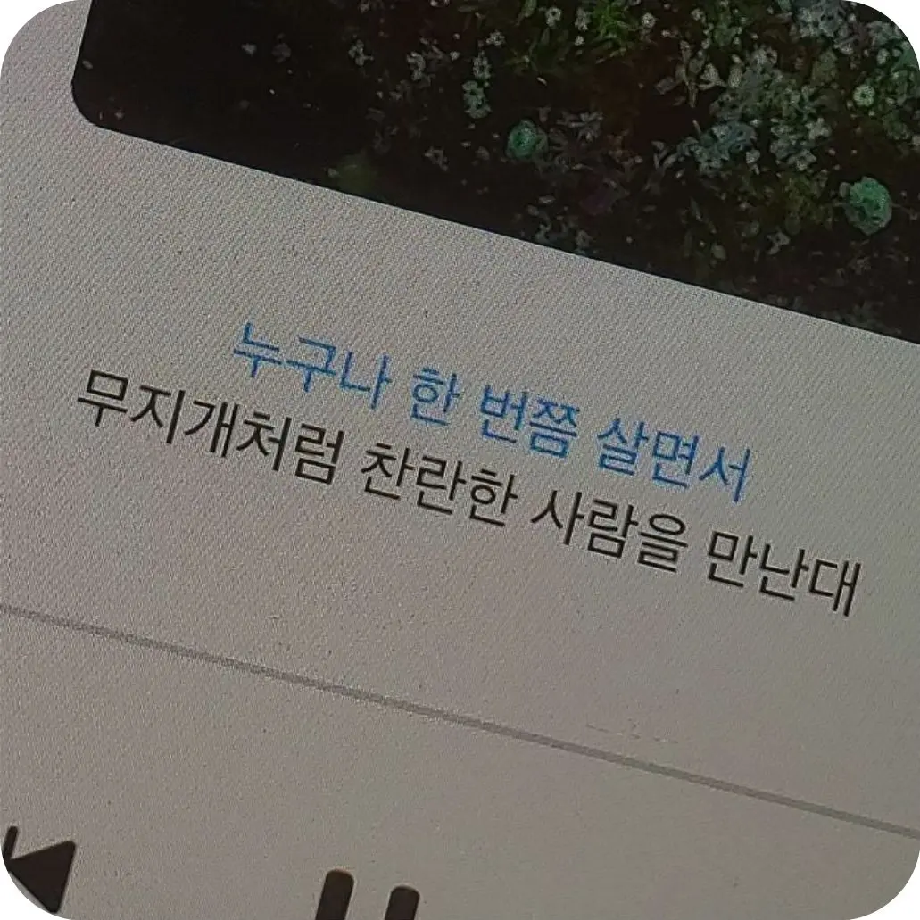 mediocrity의 청춘, 또 다른 청춘