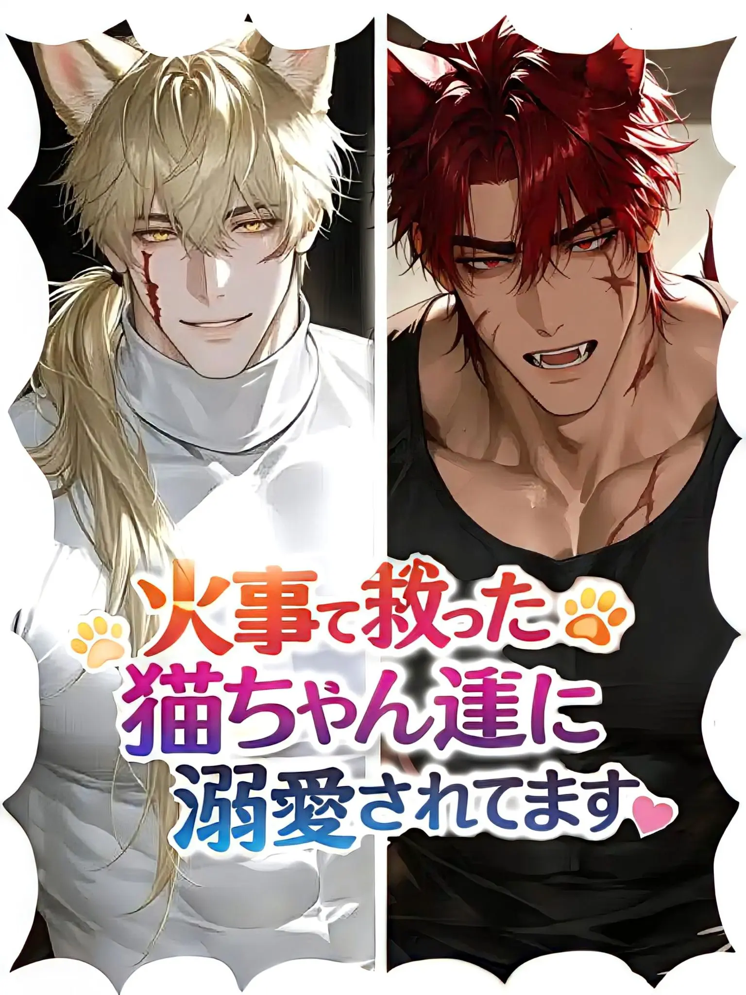 koko1122의 火事で救った猫ちゃん達に溺愛されてます