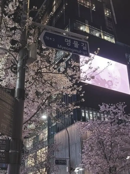 LoVe486_의 파도결에 쓸려가 영원히 지구를 돌자