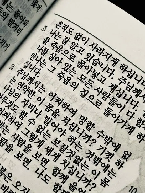 RoastRamp2184의 백 주 하