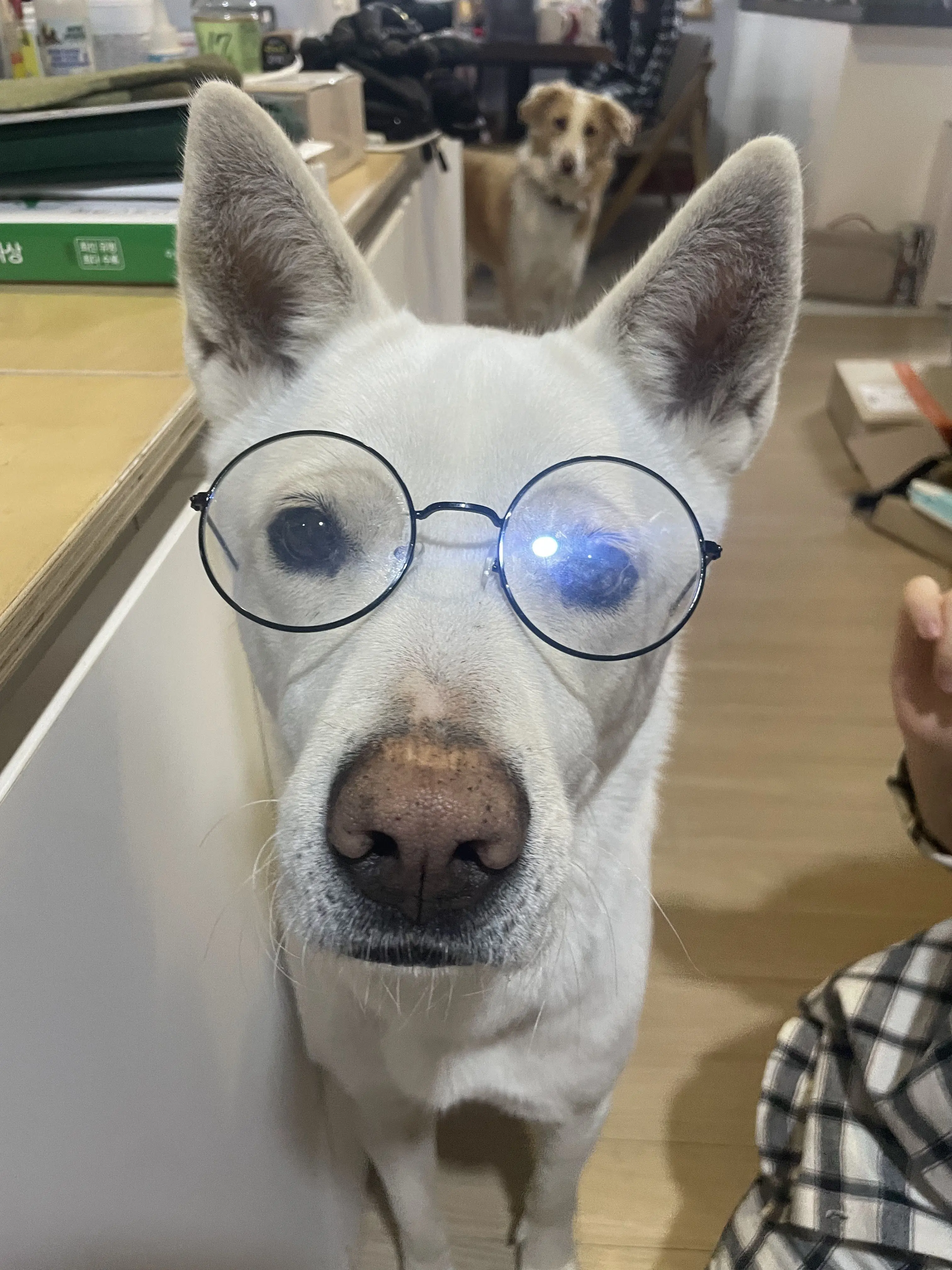 ConvexGorge4807의 뀨뀨뀨뀨뀨