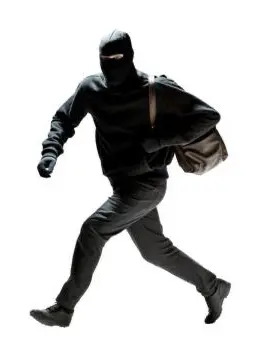 RemotePest9336의 The Heist