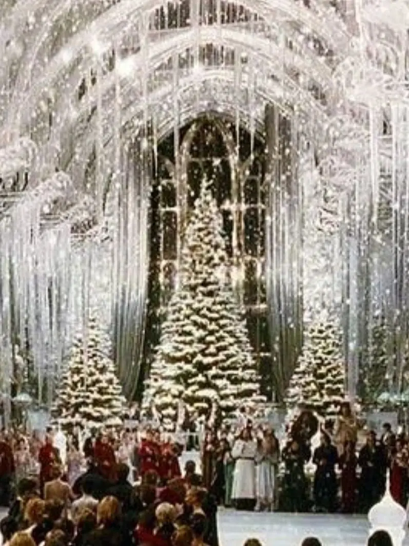 Moineforliving의 The Yule ball break down