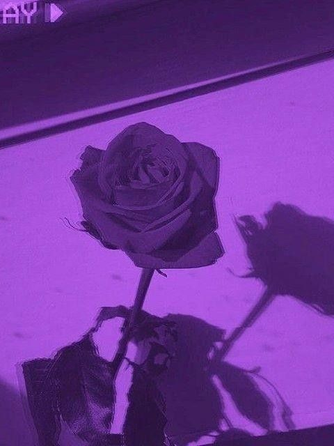 ℐ ℒ𝑜𝓋𝑒 𝓎𝑜𝓊.🐰 대표 이미지
