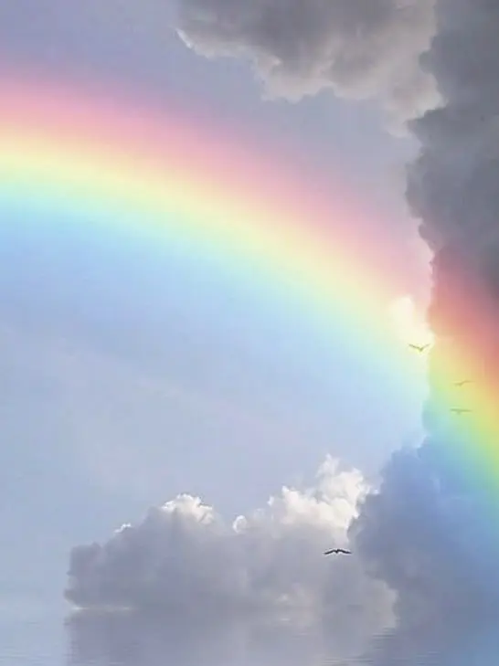 KinoKa의 뜰팁 학교!