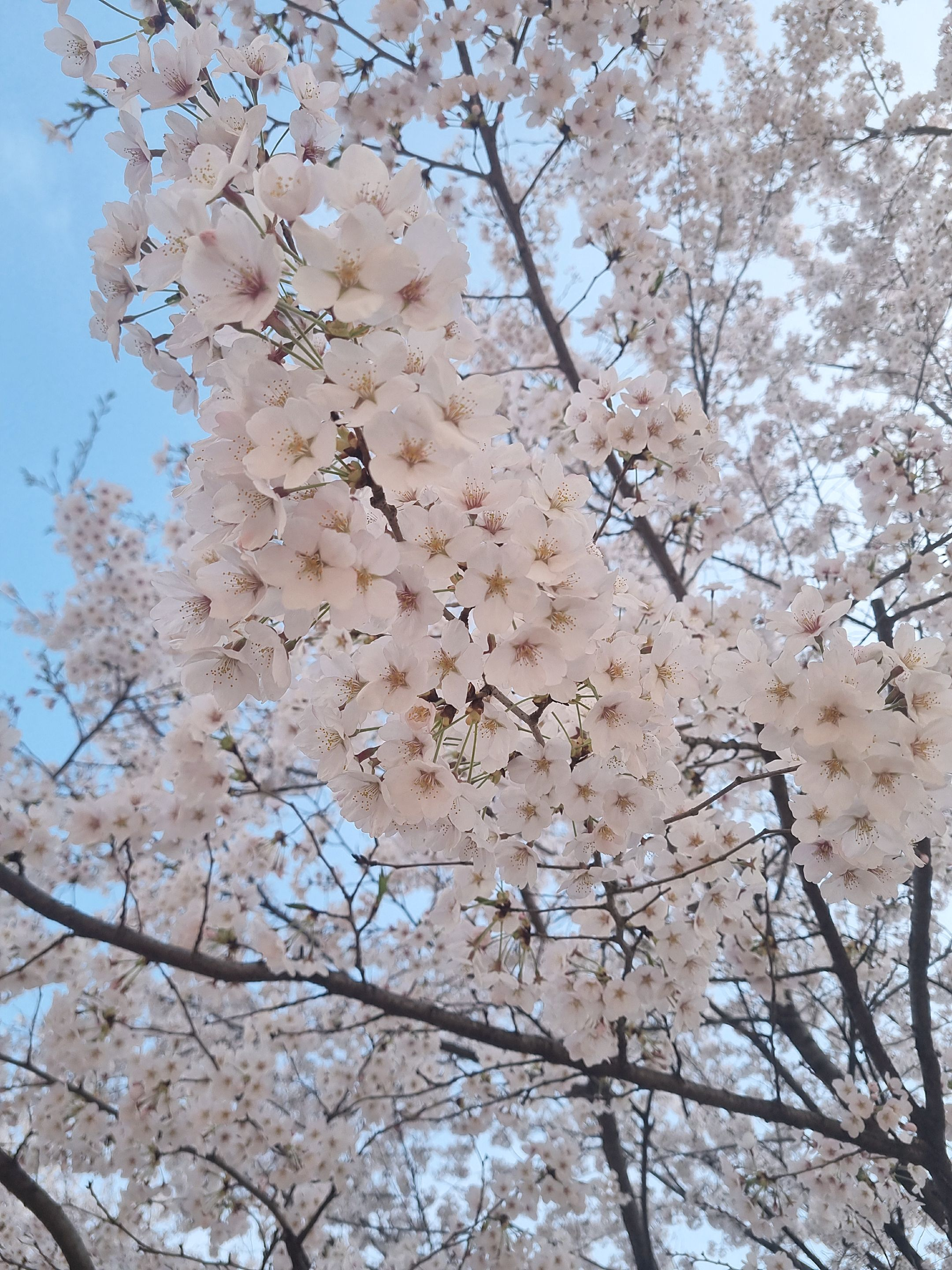 삼각관계 feat.기아타이거즈 대표 이미지