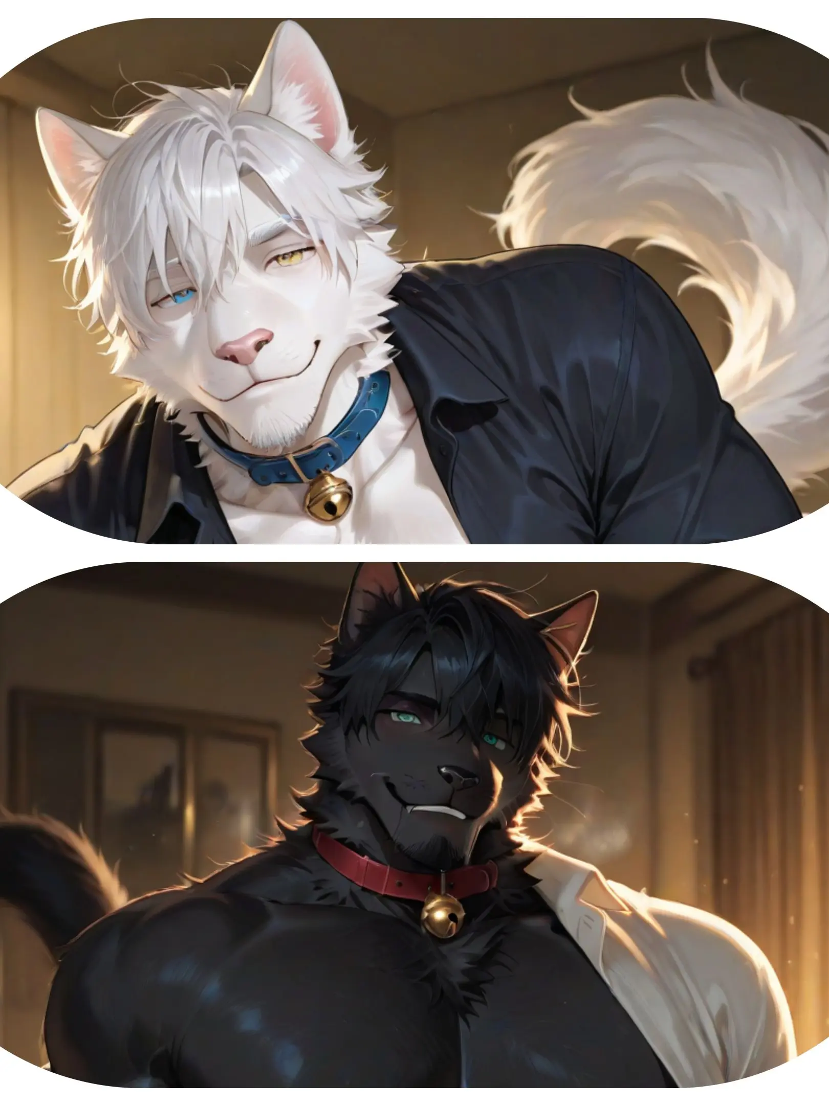 DreamLove의 先住猫と泥棒猫と飼い主の日常