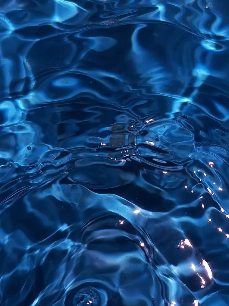 SDHK의 인어와 왕자님의 사랑💘(비슽포함)