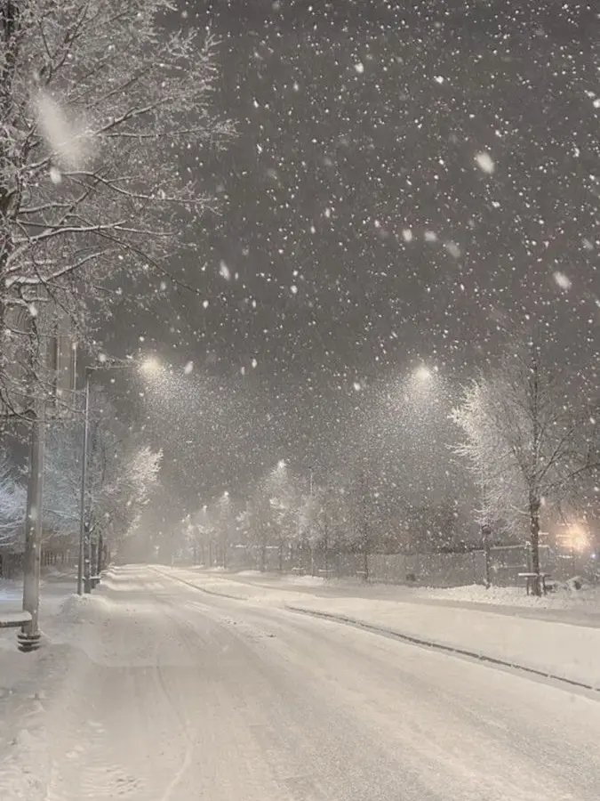 ANTONOVA-AN225_MRIYA의 추위 타는 비스트, 에인션트들