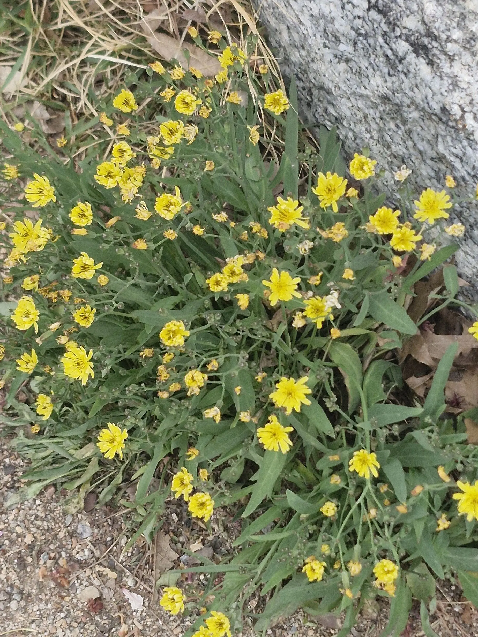 BoringPlay1495의 【이젠..난,쓰레기인거네..?】