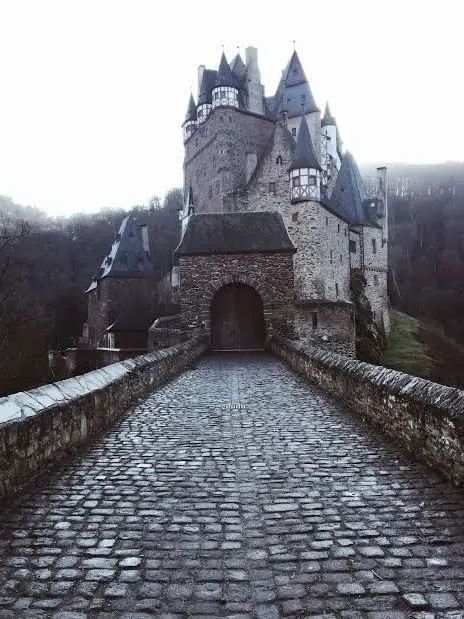 SavoryGoral5895의 School for good and evil