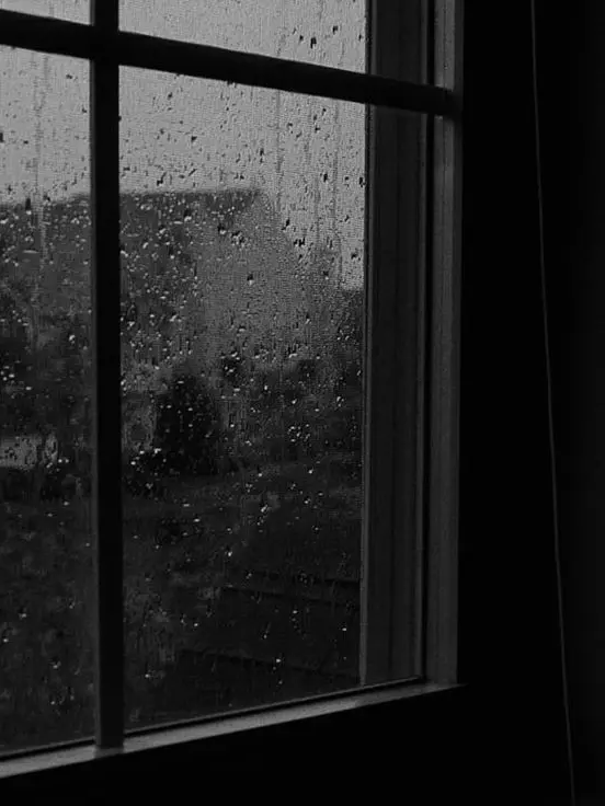 Plain_Yogurt의 🏴