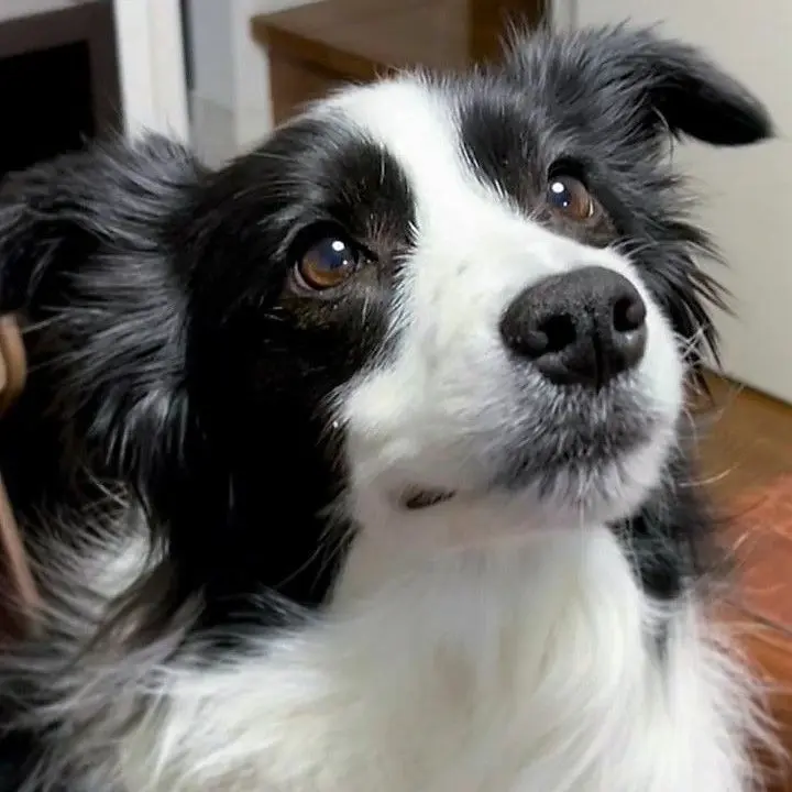 GuiltyBall3112의 ㅂㅂㅊ