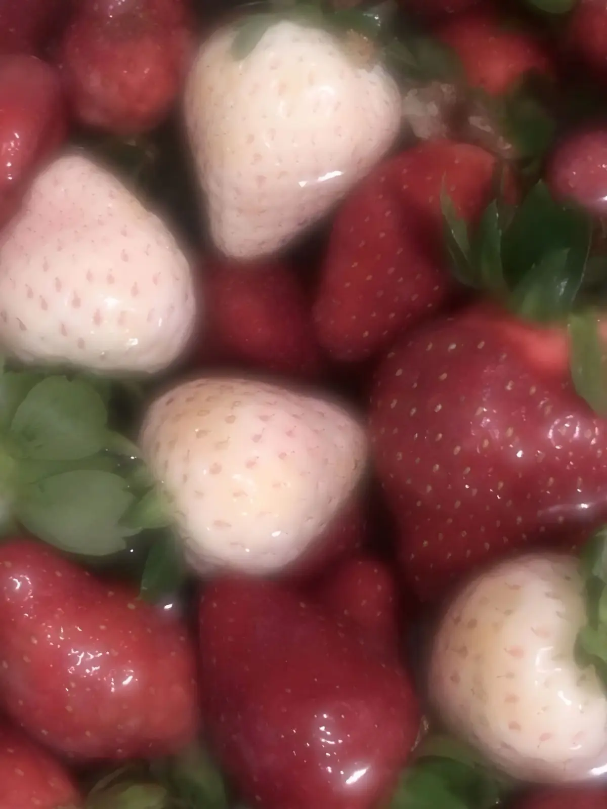 Hamm_ii의 ∞ ₒ ˚ ° 𐐒𐐚 ° ˚ ₒ ∞