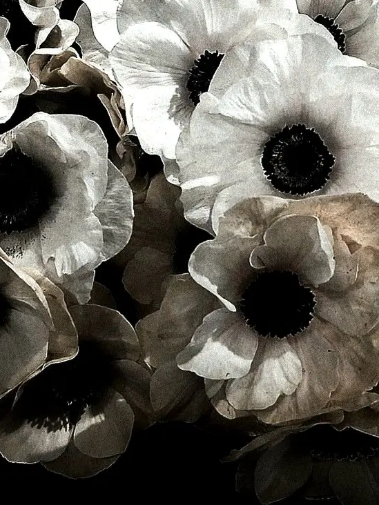 _t0yAt0의 I Held Her as She Died