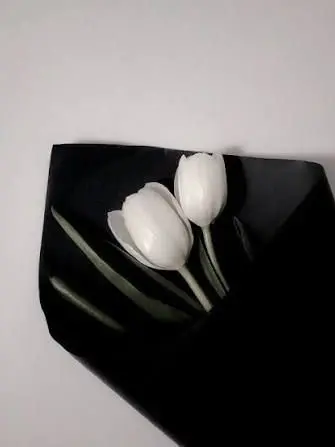 SaltCaramel의 나폴리탄 괴담.