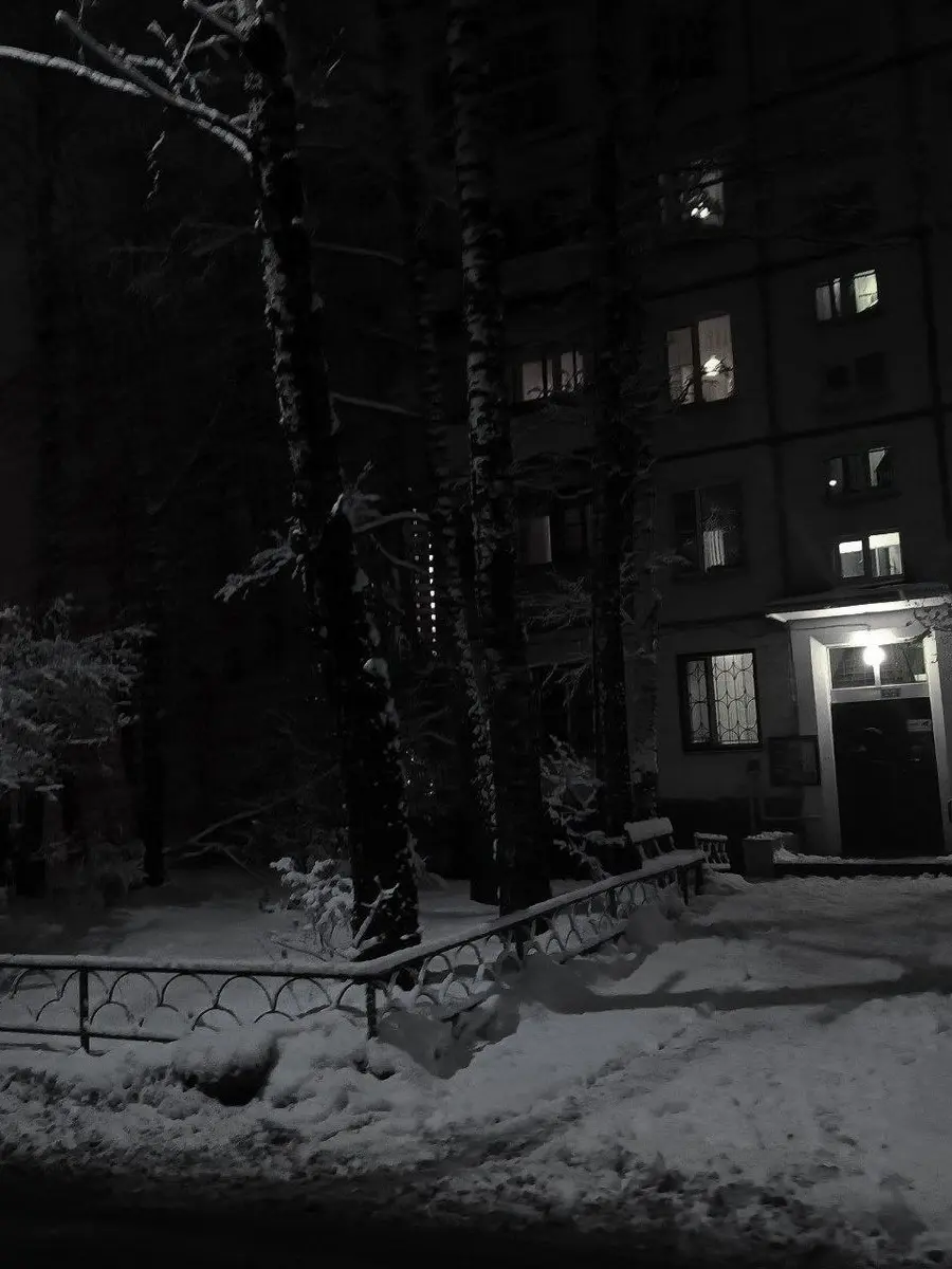 LemonyShot3830의 先輩はストーカー