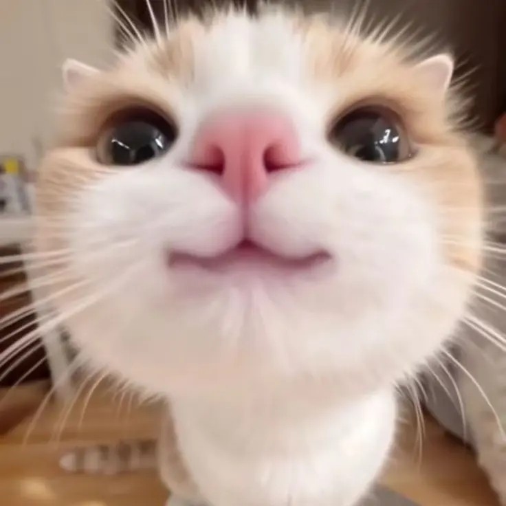 TinyWrist2001의 나에게 집착하는 연하남들