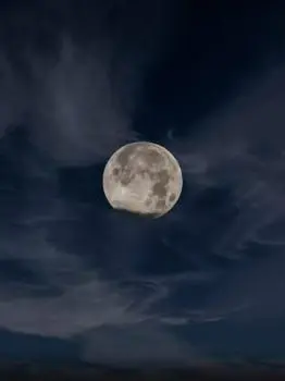 BronzeCloud2554의 뜰팁 그리스 로마 신화