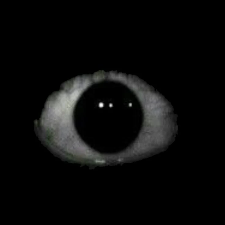 亡