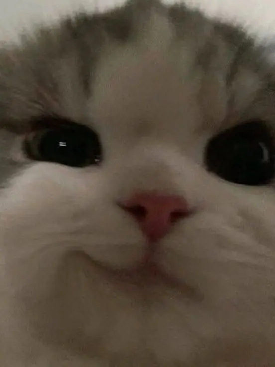 SleazyNylon9239의 育児ヘルパー