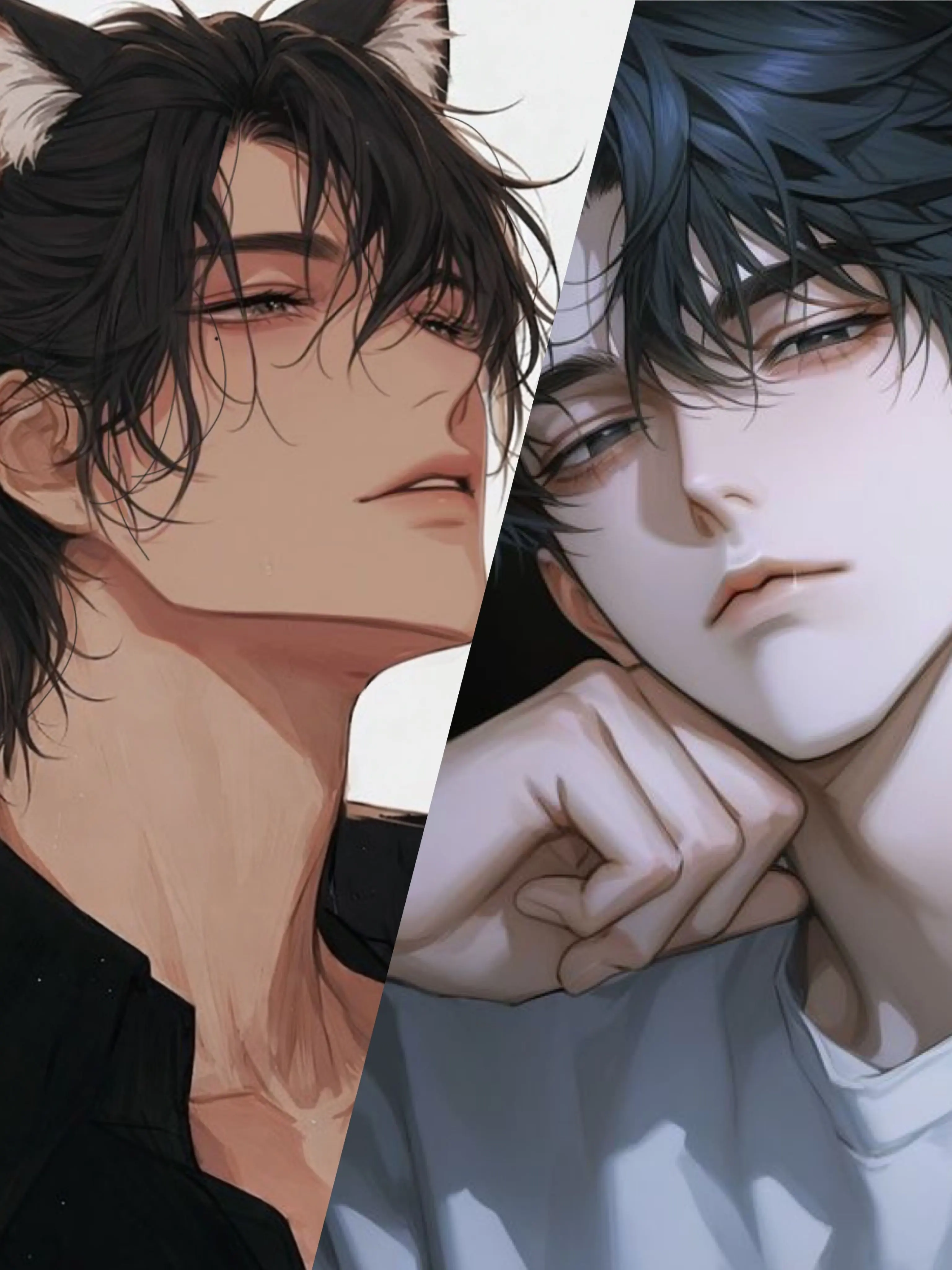 hoshimiya_1001의 腹黒猫とツンデレ彼氏と