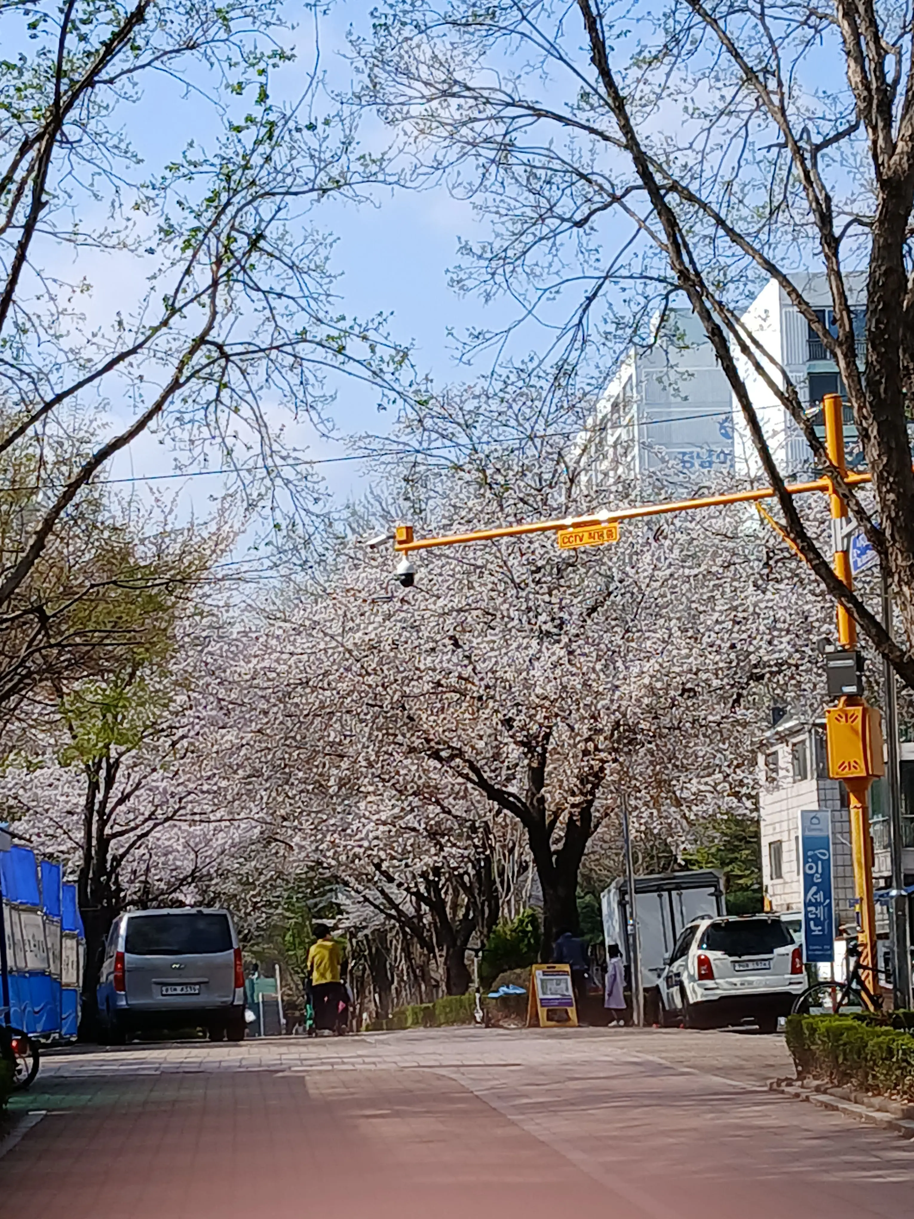 SicklyWolf8977의 약간의 질투^^ (와팸 편)