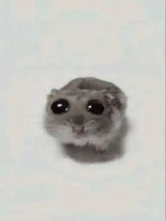 Sakuramotisukee1100의 謎のふわふわをお世話