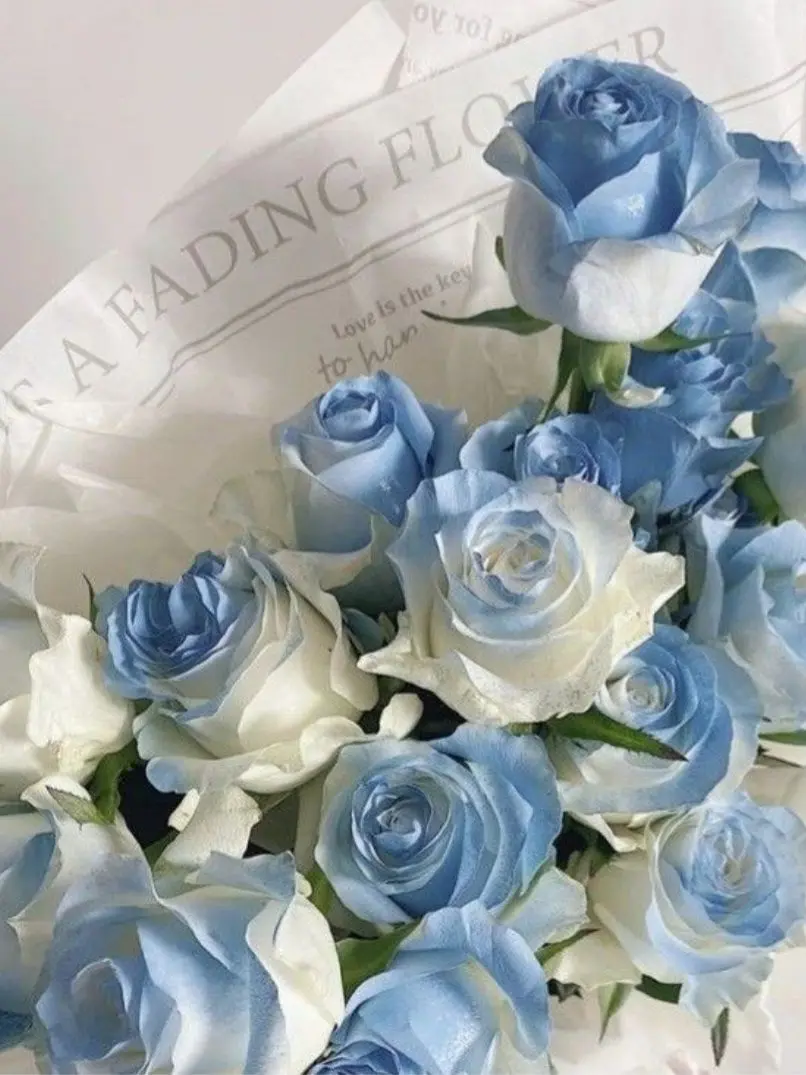 respear의 好久不见 ! !