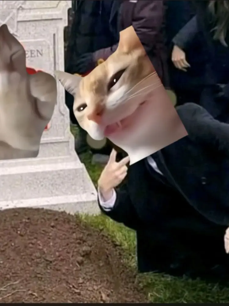 Miyaul의 고양이밈