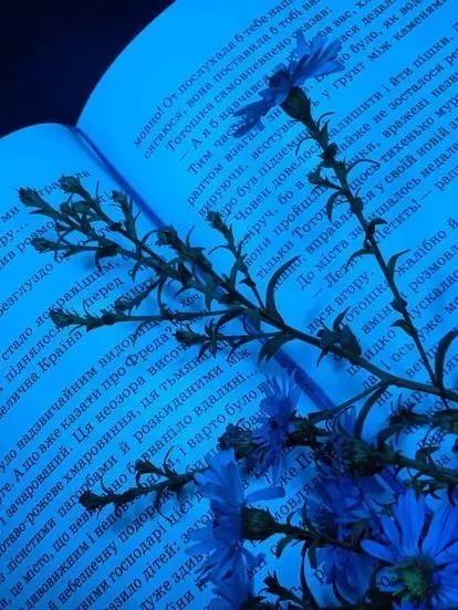 ruru.saiko의 복스 (vox)