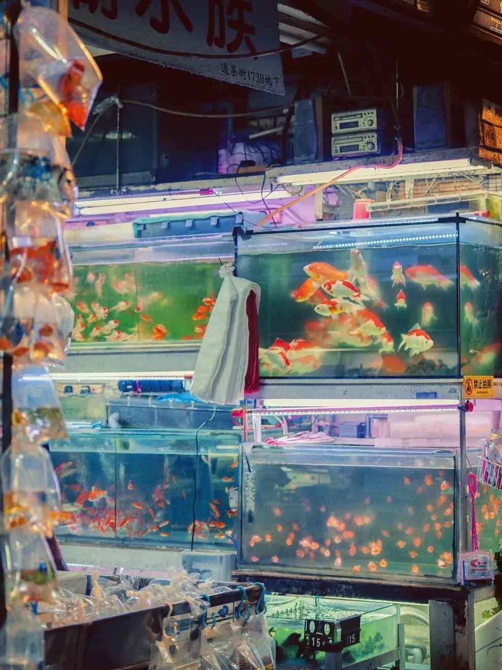 Yourfecesiscolorfeces의 강영현