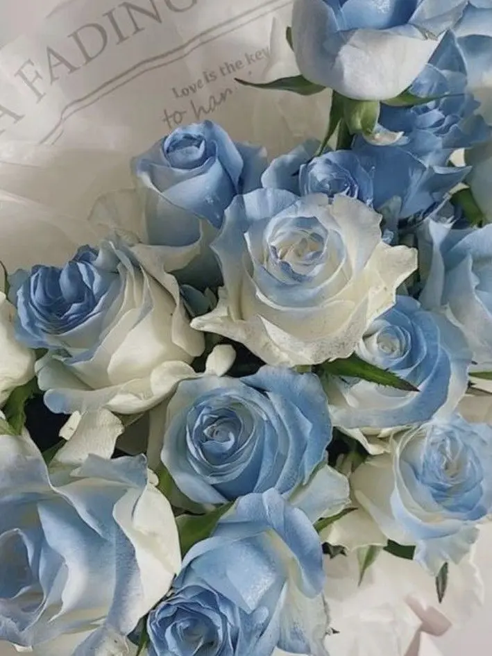 RancidTosa7121의 갠용