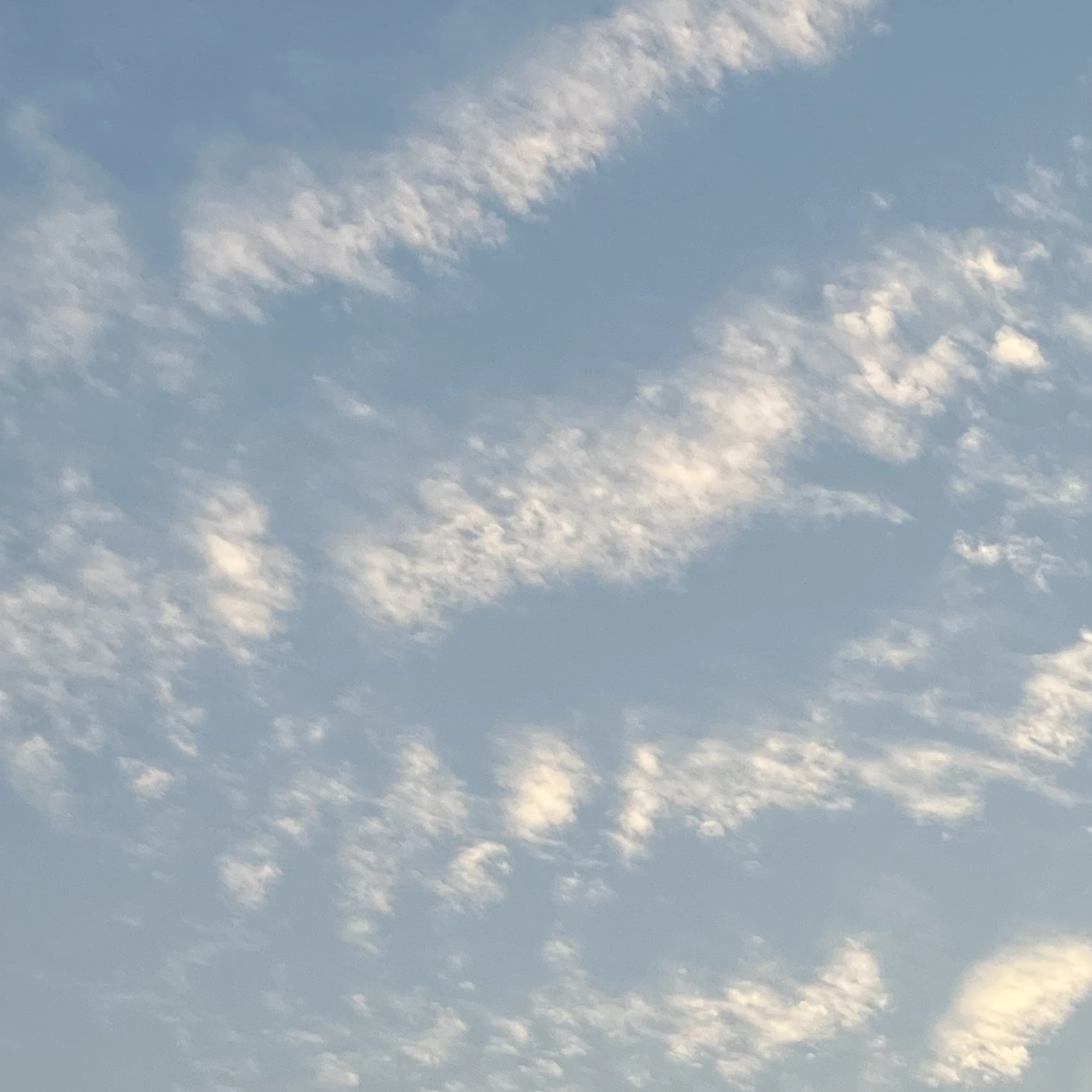 병원