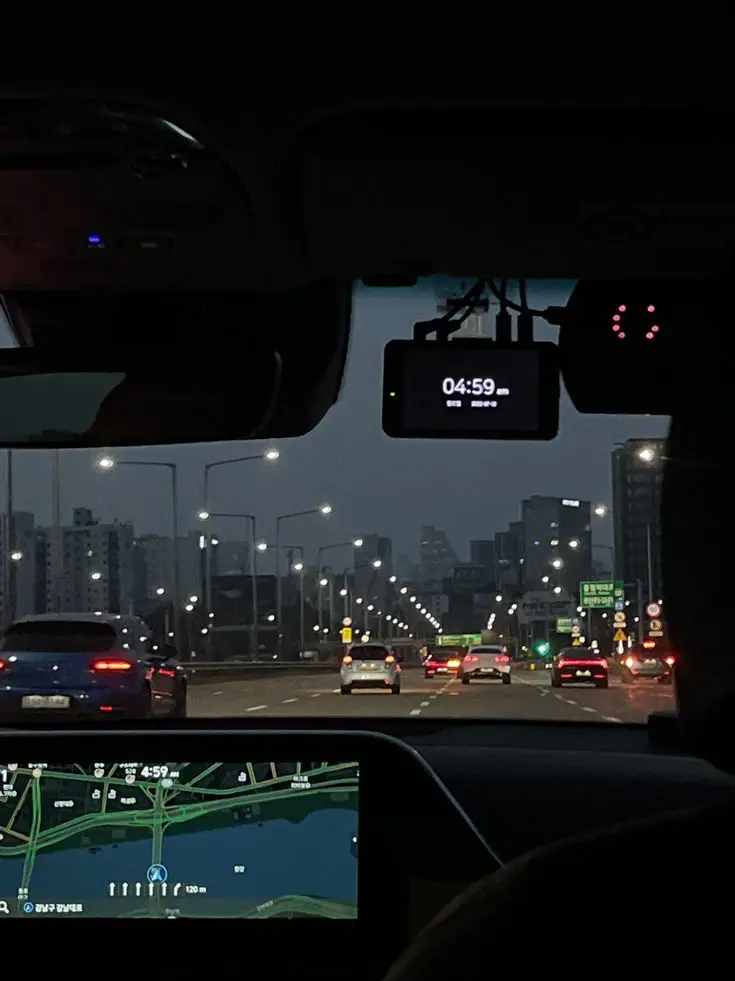 Sogouryoku의 붕어빵, 새... 마리!