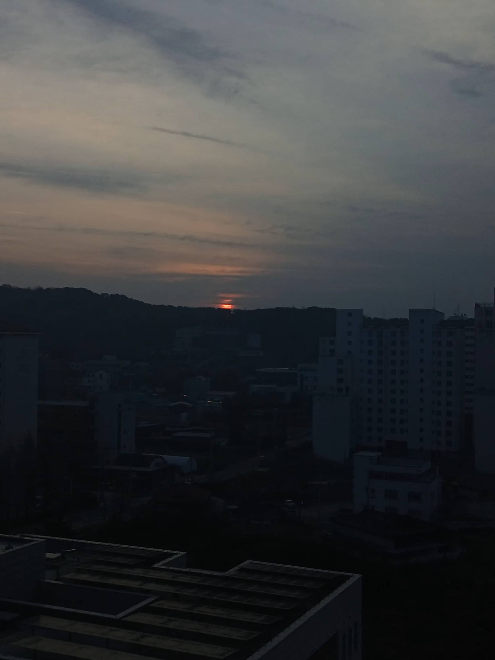 덕개경장의 친누나 대표 이미지