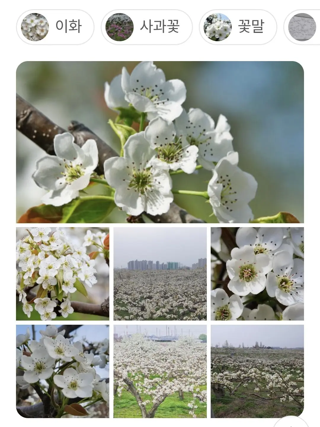 FlatDouc7371의 나와 너희의 거리