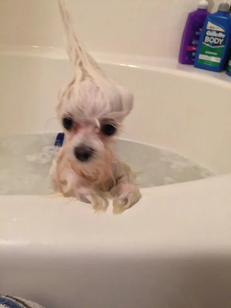 BarrenLever2610의 .