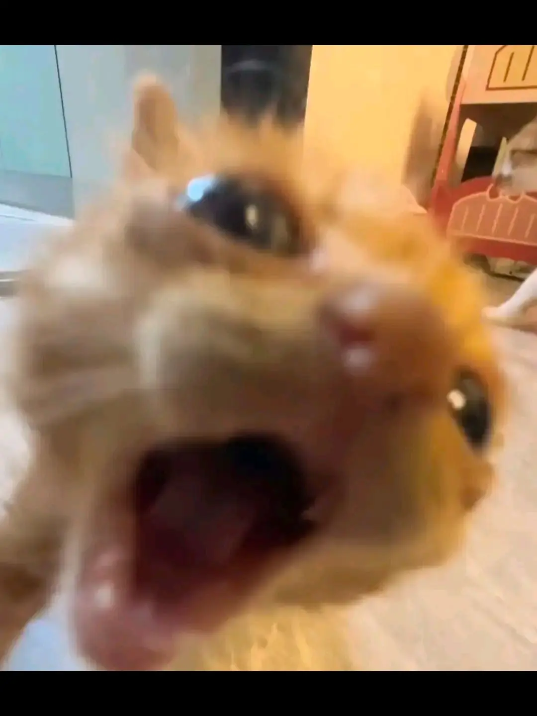 FastFile5692의 늑대한테 넘어가버린 내 여사친...