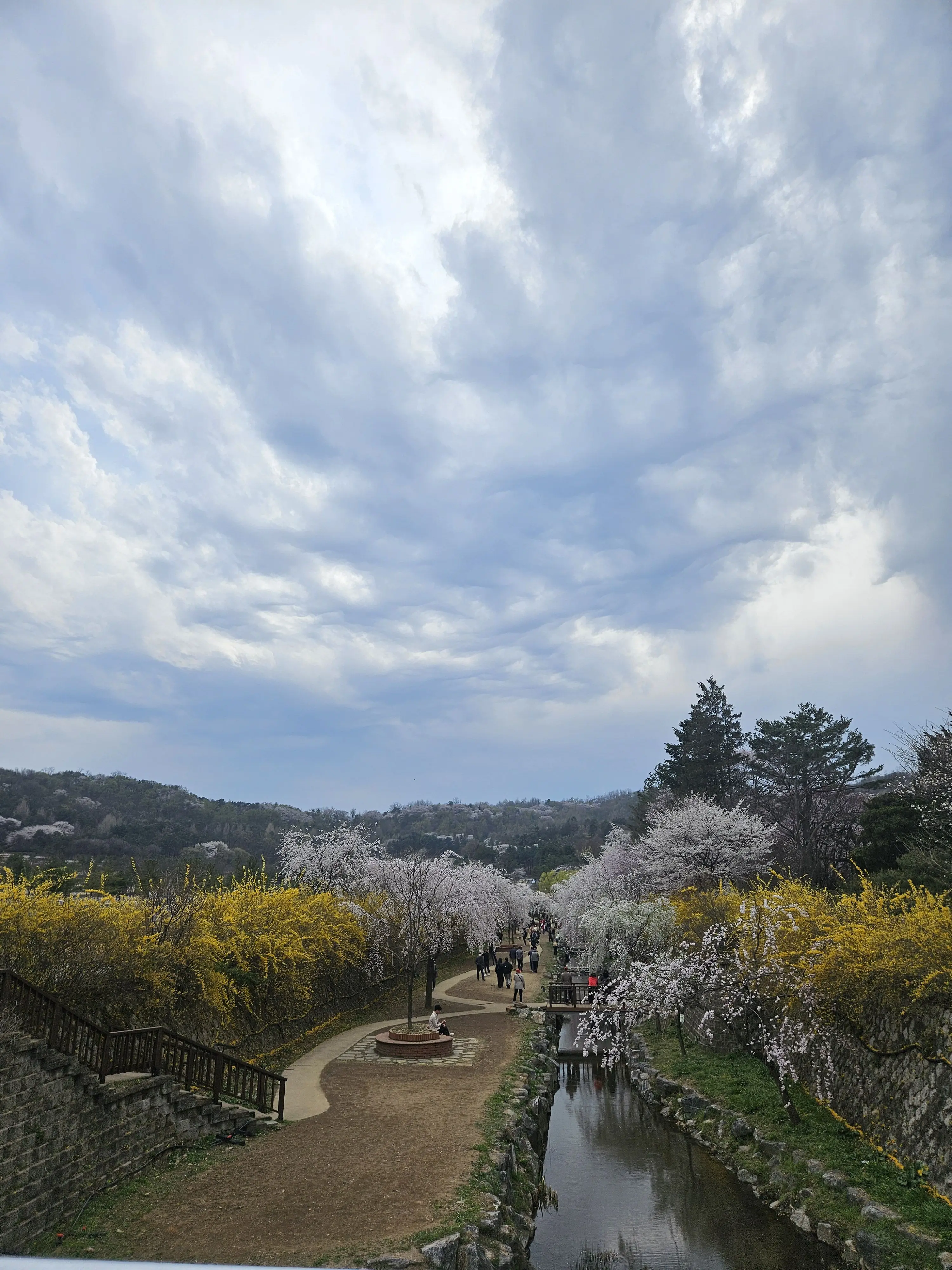 Cotton0801의 손종원