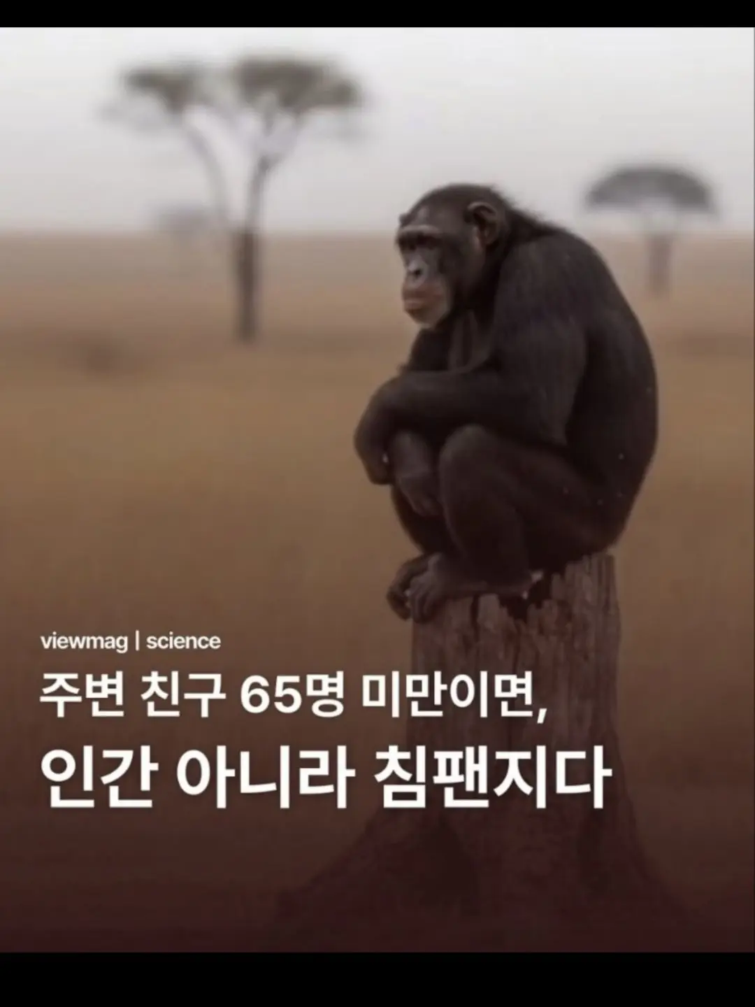 InlandIndri4398의 [원피스 최악의 세대 중학교]