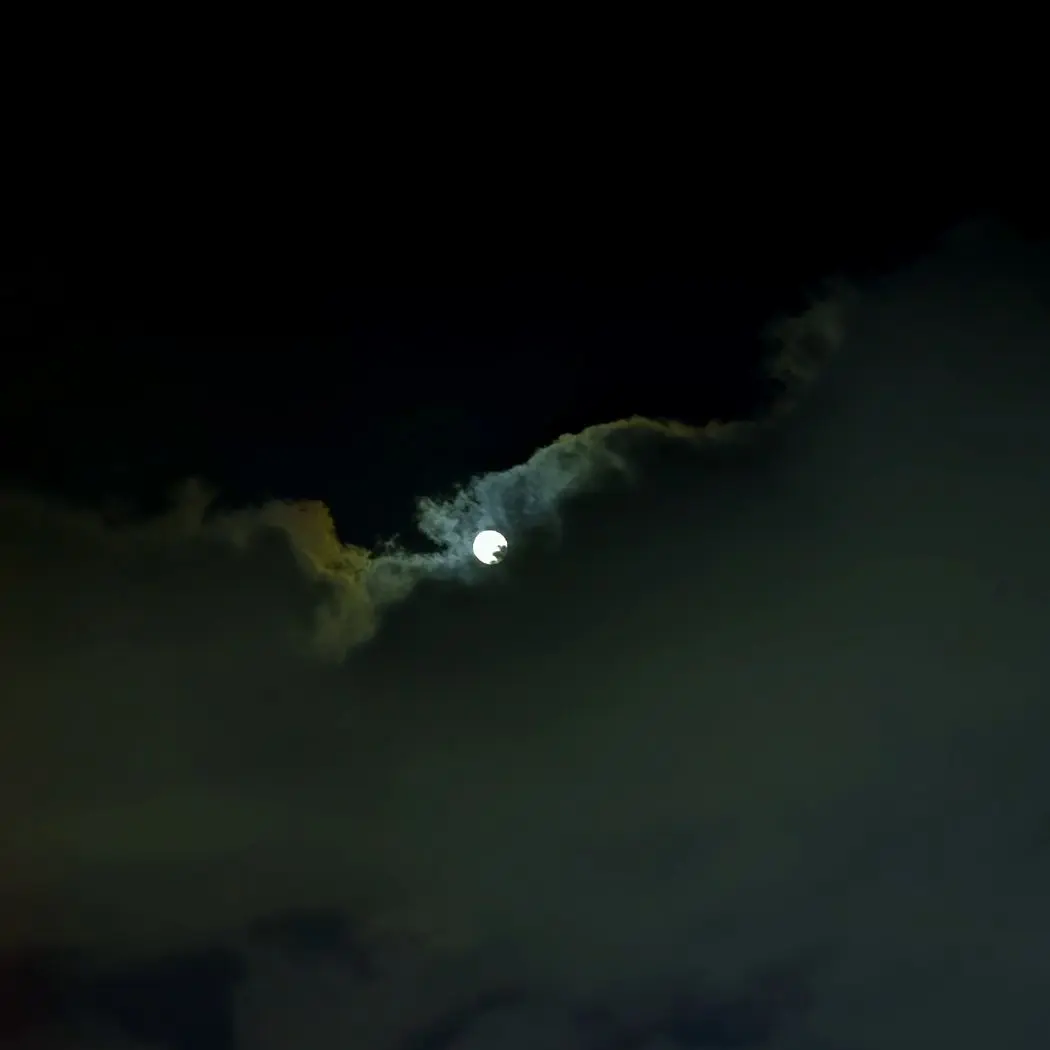 CI_soldier의 판타지 세계관 (RPG)